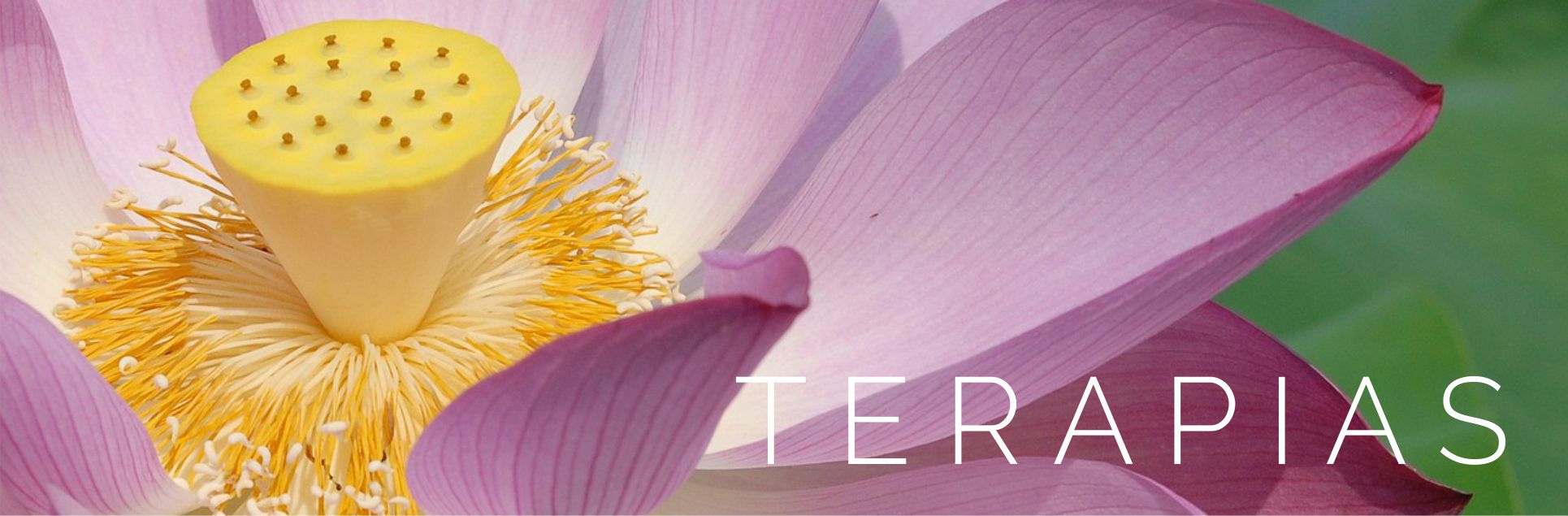 KIOVA NATURA Centro de terapias Alternativas KIOVA NATURA Centro de Yoga y terapias naturales KIOVA NATURA Centro de terapias Alternativas KIOVA NATURA Centro de Yoga y terapias naturales